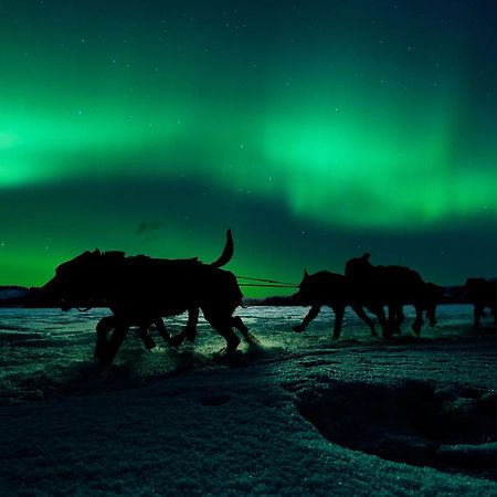 Готель Camp Ripan Кіруна Екстер'єр фото